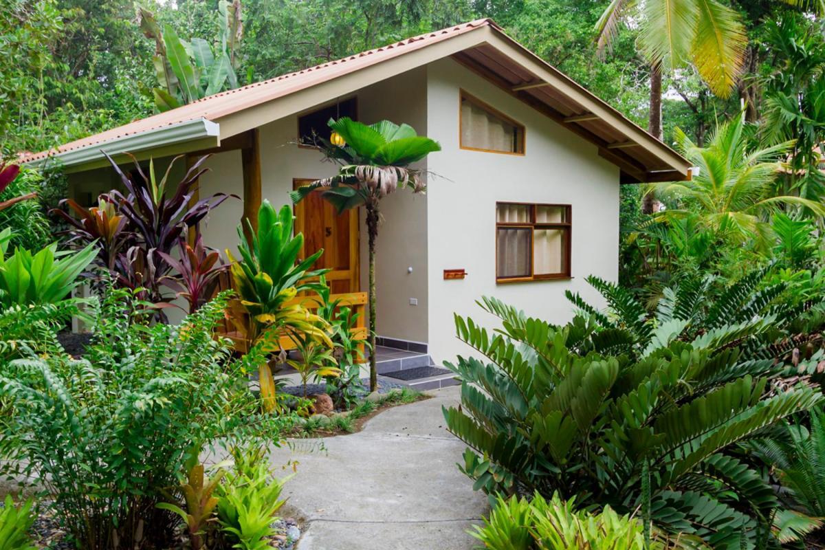 La Ponderosa Hotell Pavones  Rom bilde